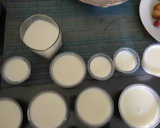 Silky puding ala2 gyukaku (non gelatin) langkah memasak 8 foto