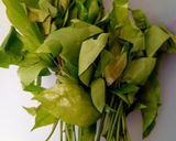 Foto langkah ke 1 dari resep Sayur Santan Daun Melinjo.