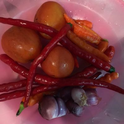 Langkah 5