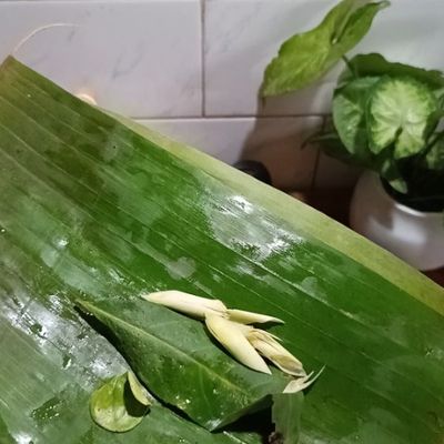 Langkah 3