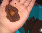 Foto del paso 3 de la receta: Chocolinas