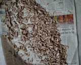 ગોટલી મુખવાસ રેસીપી સ્ટેપ5ફોટો