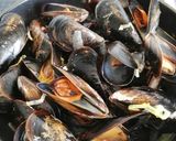 Foto del paso 8 de la receta Mejillones a la cerveza