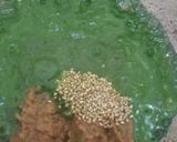 A picture of step 16 of Nutty lemony cabbage roll in green sauce.