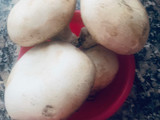 Bomba de champiñones