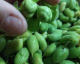 Foto del paso 3 de la receta: Guasanas
