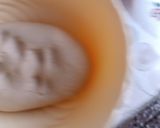 A picture of step 3 of Sattu Paratha.