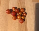 Une image de l'étape 7 de Gratin de pâtes au légumes,roquefort et tomates cerises.