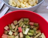 Une image de l'étape 1 de Compotée de Pommes /Rhubarbe.