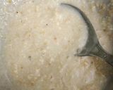A picture of step 1 of Golden Glow Oats Bowl.
