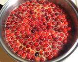 Cranberry Sauce recipe step 3 photo