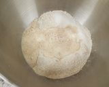 Foto del paso 5 de la receta: Pan de harina integral (con técnica "Tang Zhong")