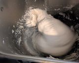 A picture of step 1 of Homemade Sub rolls🥖.