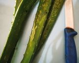 A picture of step 1 of Aloe Vera MintLemon Juice.