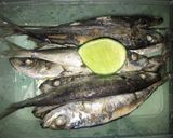 Foto langkah ke 1 dari resep Gereh besek tumis lombok ijo.