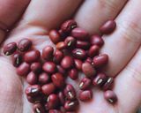 Hình bước làm 1 của món Chè đậu đỏ Thất Tịch