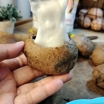 Langkah 6