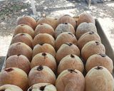 Foto langkah ke 8 dari resep Donat versi bomboloni.