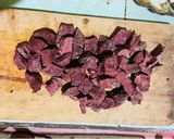 Foto langkah ke 4 dari resep Oseng Paru Sapi.