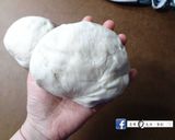 拿坡里起司巧克力炸披薩(2個)的食譜步驟8照片