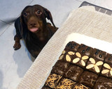Foto langkah ke 10 dari resep Brownies Panggang/ Brownies sekat Yummy.