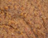 રાજમા કરી (Rajma Curry Recipe In Gujarati) રેસીપી સ્ટેપ3ફોટો