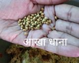A picture of step 2 of Lauki KE MUthiye.