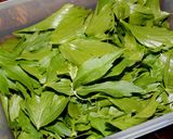 Pasta lubczykowa na zimę krok przepisu 1 zdjęcie