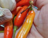 Foto langkah ke 3 dari resep Tahu - bandeng penyet sambal bawang jeruk.