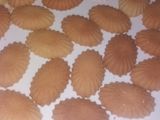 صابلي الصدفة