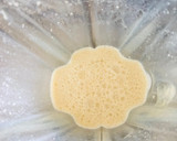 Foto del paso 3 de la receta: Hotcakes integrales