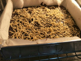 Choco Cheese Chewy Brownies