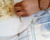 عکس مرحله 8 از دستور باقلوا