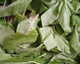 Foto langkah ke 1 dari resep Sayur bayam bening.