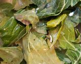A picture of step 2 of Collard Greens; Clean, Cook, and Disposal.
