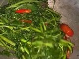 Tumis kangkung pedas pake terasi