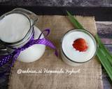 Cara Membuat Homemade Yoghurt 2 Bahan Saja 11