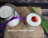 Foto langkah ke 11 dari resep Homemade Yoghurt (2 Bahan Saja).