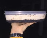 Foto langkah ke 15 dari resep Ice cream cake oreo.