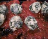 Foto del paso 5 de la receta: MALFATTIS DE ESPINACA Y RICOTTA RELLENOS ♥️