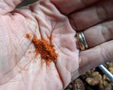 A picture of step 4 of Air fryer spicy sweet roasted nuts.