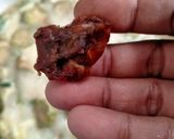 Foto langkah ke 5 dari resep Lodeh Terong dan Kacang Panjang.