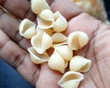 A picture of step 1 of Simple masala pasta for kids.