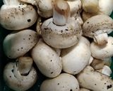 मटार मशरूम कढाई मसाला (Matar mushroom Kadai Masala recipe in marathi) रेसिपी स्टेप 1 फोटो