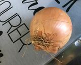 Une image de l'étape 2 de Légumes mijotés soja rhubarbe.