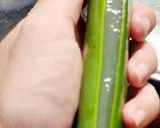 Hình bước làm 1 của món Nước nha đam đường phèn
