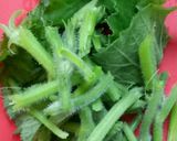 Foto langkah ke 2 dari resep Sayur bening daun /pucuk kedondong pagar.