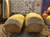 Pan de molde o pan de campo...tu preferido!