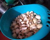 A picture of step 1 of Mater mushroom.