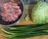 A picture of step 1 of Cabbage Pork Potstickers.